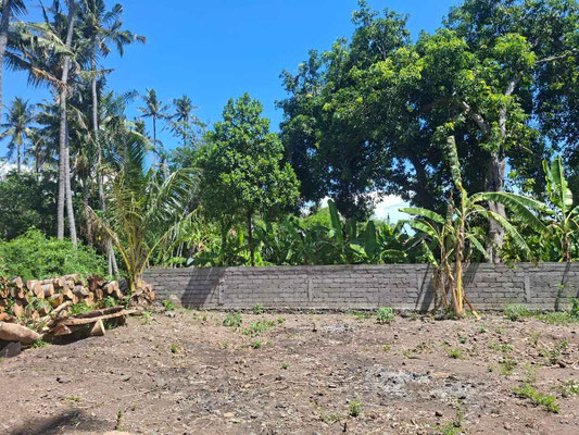 Amed property for sale