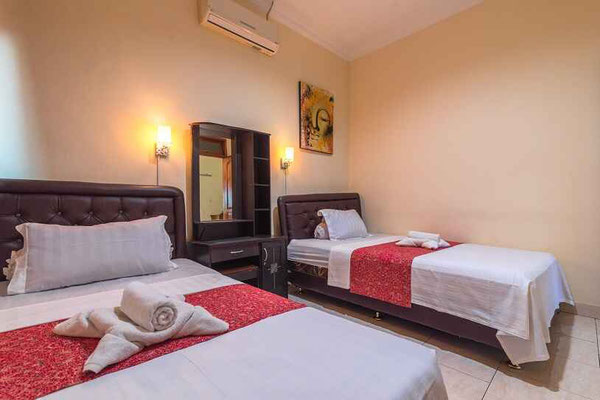 Lovina villa for sale