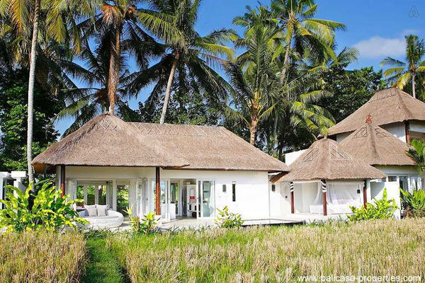 Ubud villa for sale