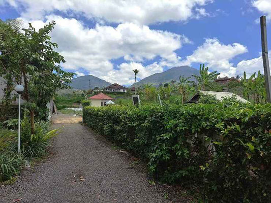 Bedugul villa for sale