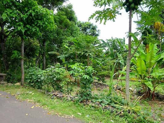 Land for sale in Seraya, East Bali