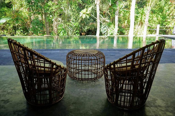 Ubud hotel for sale. Ubud hotel for sale by owner