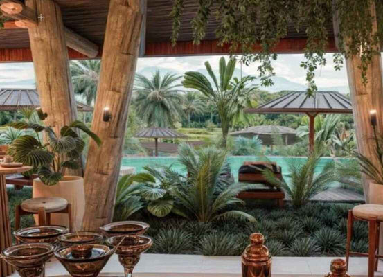 Tegallalang villa for sale