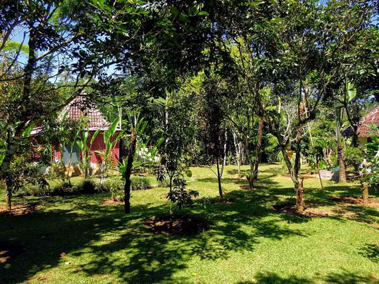 Dijual properti di Ubud
