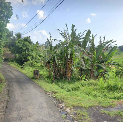 Tabanan land for sale