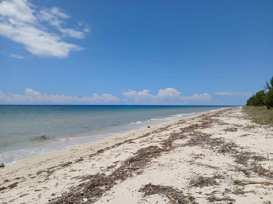 Laipori land for sale