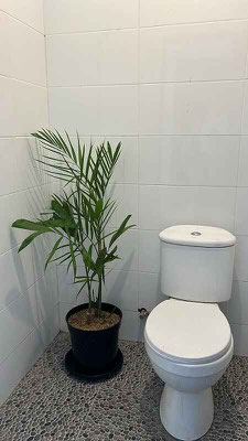 Denpasar real estate for sale