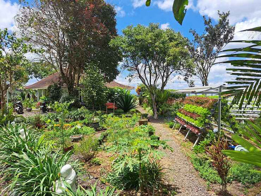 Bedugul villa for sale