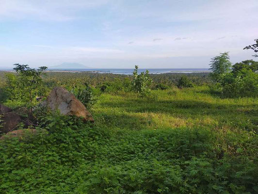 North Bali land for sale. Land for sale by owner