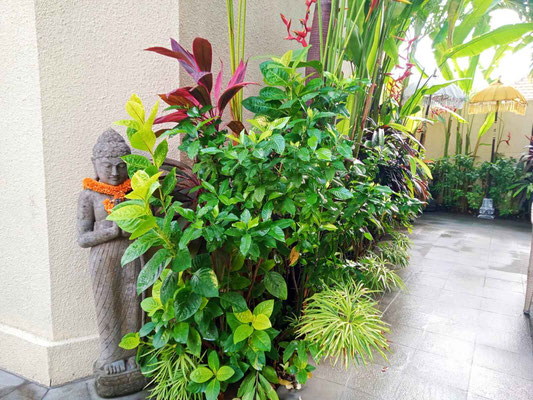 Sanur villa for sale