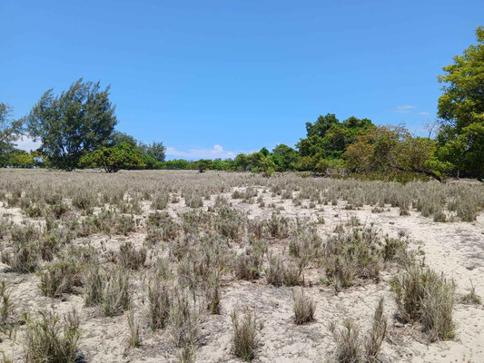 Laipori land for sale