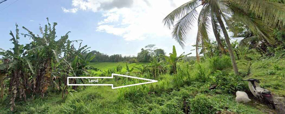 Tabanan land for sale