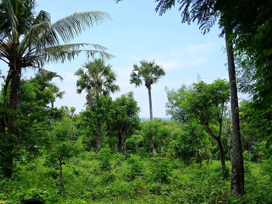 Land for sale in Seraya, East Bali