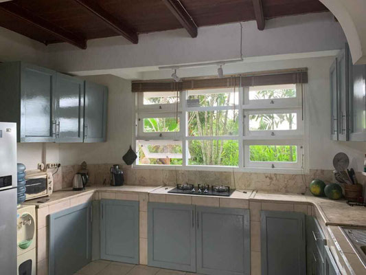 Kerambitan villa for sale