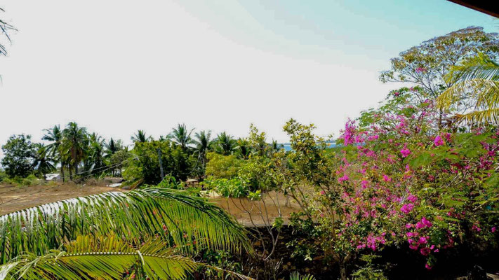 Sumba villa for sale