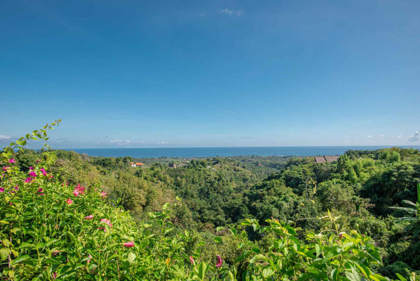 North Bali villa for sale