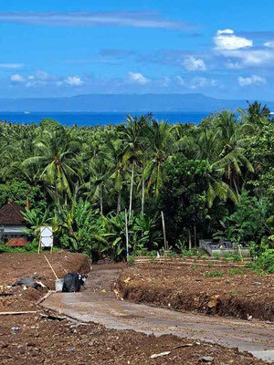 East Bali land for sale