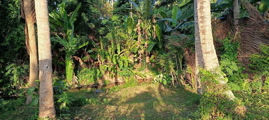 Dijual rumah di Jasri