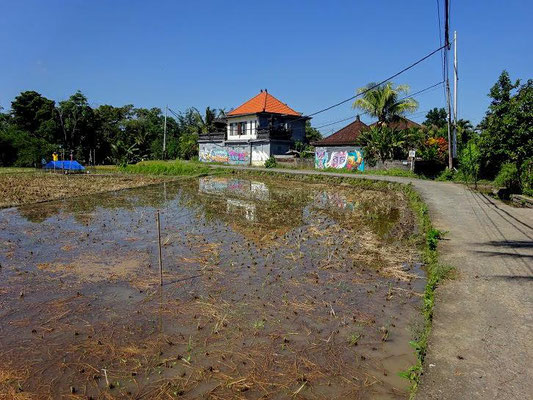 Ubud land for sale