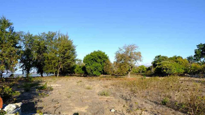 Sumba property for sale