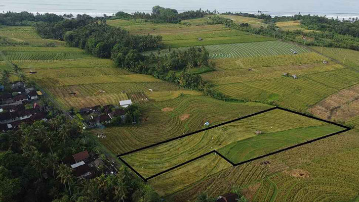 Tabanan land for sale
