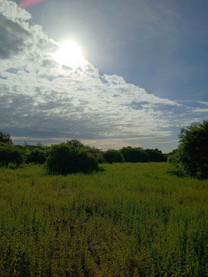 Sumba land for sale