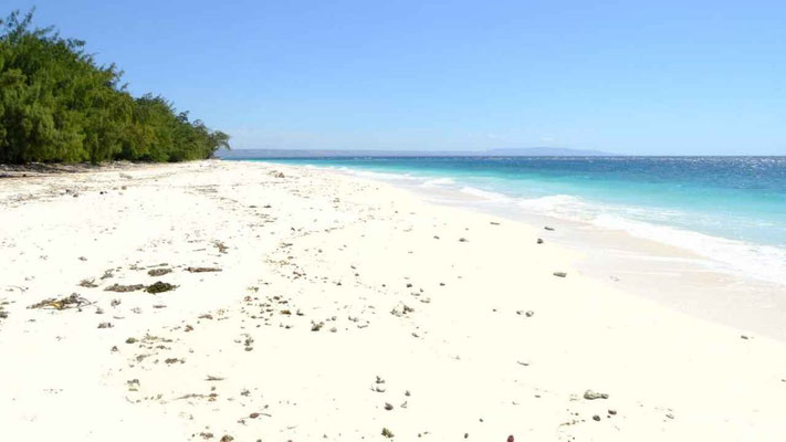 Sumba land for sale