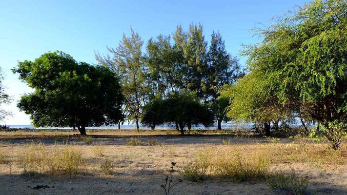 Sumba property for sale