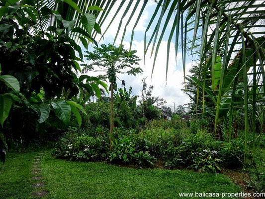 Tabanan property for sale