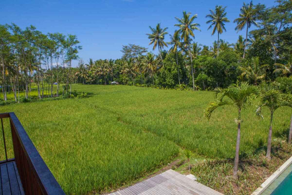 Dijual vila di Lodtunduh