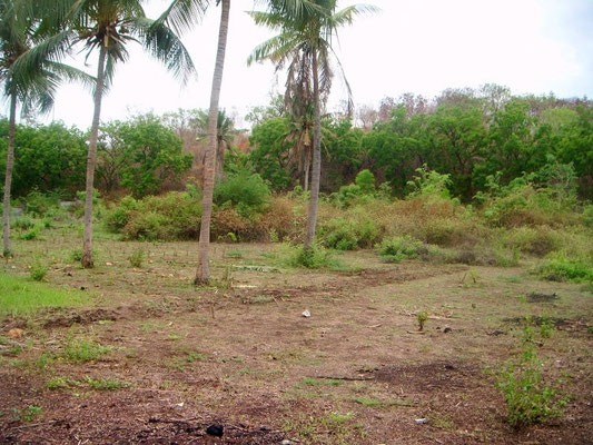 North Bali land for sale by owner
