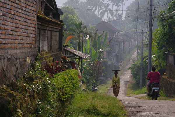 A misty village lane as a woman balances a basket on her head.