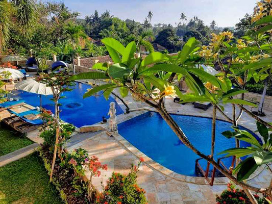Lovina retreat for sale
