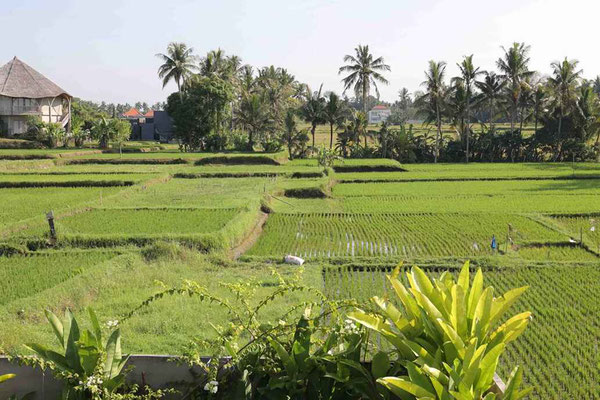 Kemenuh real estate for sale