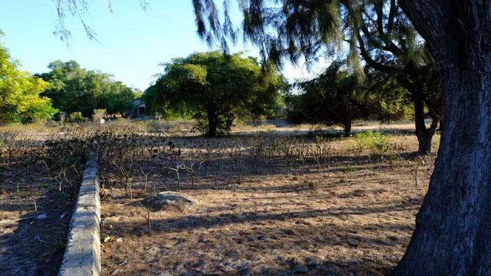 Sumba land for sale