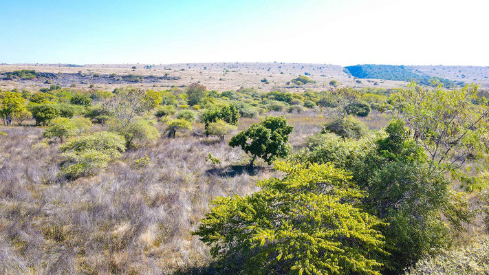 Sumba land for sale
