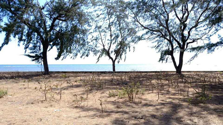 Sumba real estate for sale