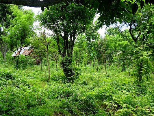 Land for sale in Seraya, East Bali