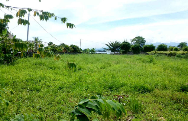 North Bali land for sale