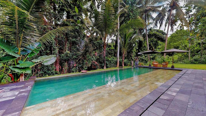 Ubud hotel for sale. Ubud hotel for sale by owner