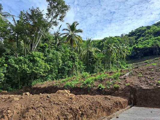 East Bali land for sale