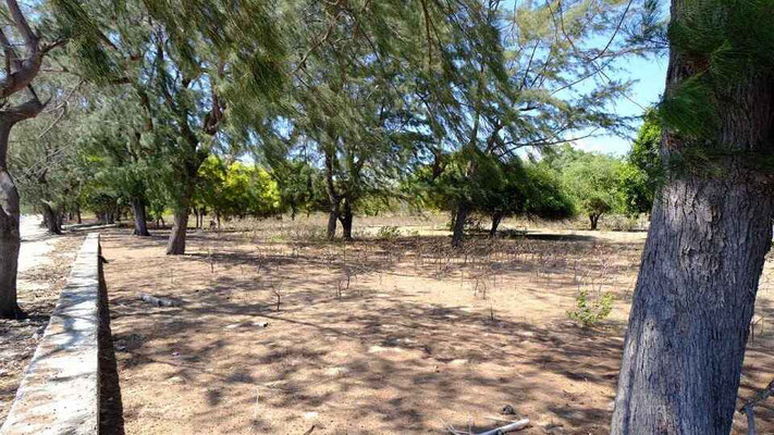Sumba property for sale