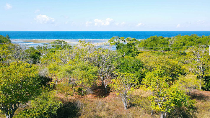 Sumba land for sale