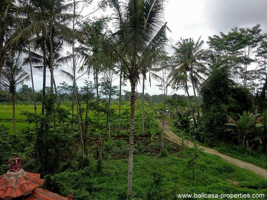 Pejeng real estate for sale