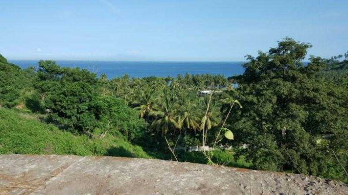 Lombok land for sale