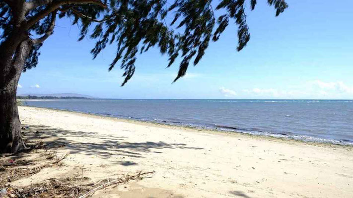 Sumba real estate for sale