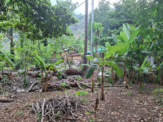 Amed real estate for sale