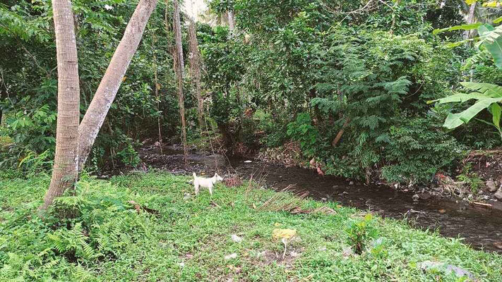 Dijual rumah di Jasri