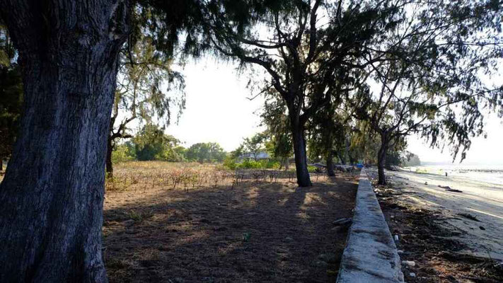 Sumba land for sale