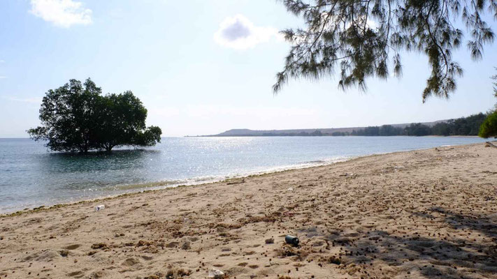 Sumba property for sale